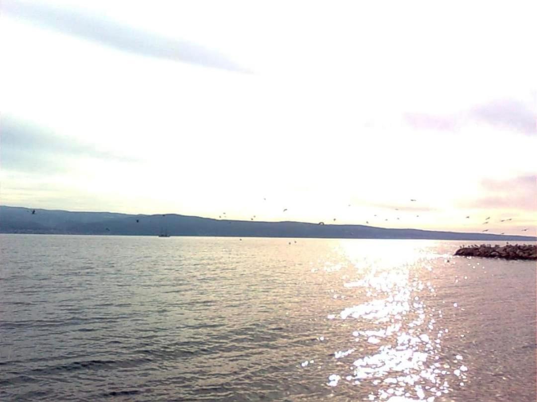 Apartmani Branko Vojnovic Omiš Quarto foto